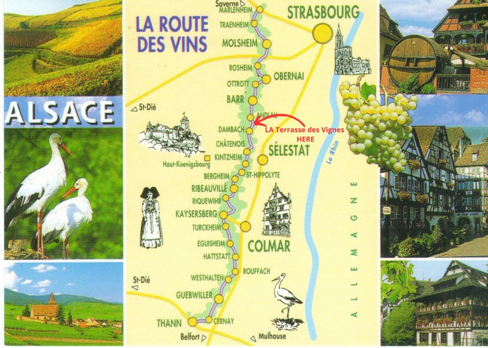 בלינשווילר La Terasse Des Vignes - Maison 2 Chambres - 4 Personnes מראה חיצוני תמונה